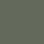 EXTERIOR - SW 6187 Rosemary