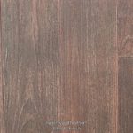 MONTANA TIMBER - NORTHERN