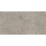 P067 12 x 24 GRIGIO