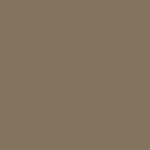 EXTERIOR - SW-6151 QUIVER TAN