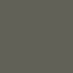 EXTERIOR - SW 6201 THUNDEROUS