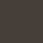 EXTERIOR - SW 7020 BLACK FOX